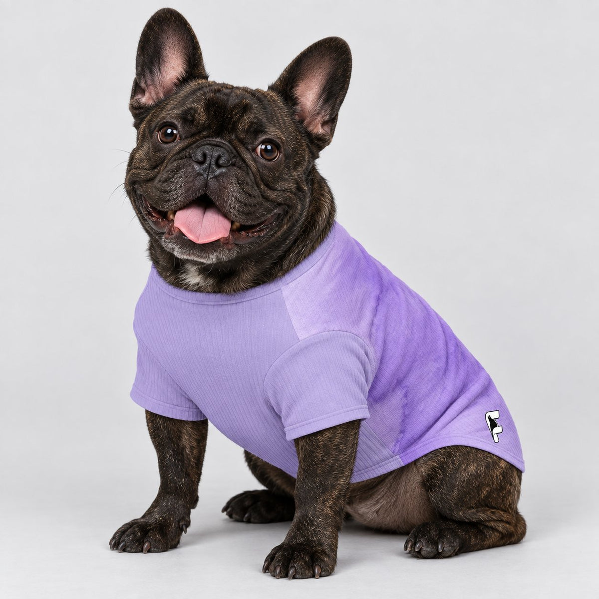 French Bulldog wool sweater, a warm wool blend knit for a dog lover gift.