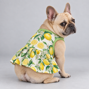 Mediterranean Lemon Blossom French Bulldog Ruffle Dress