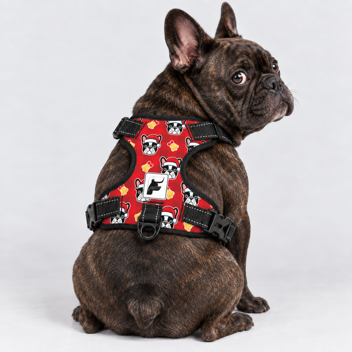 Santa Paws French Bulldog harness with side-release buckles, sturdy webbing and metal leash rings