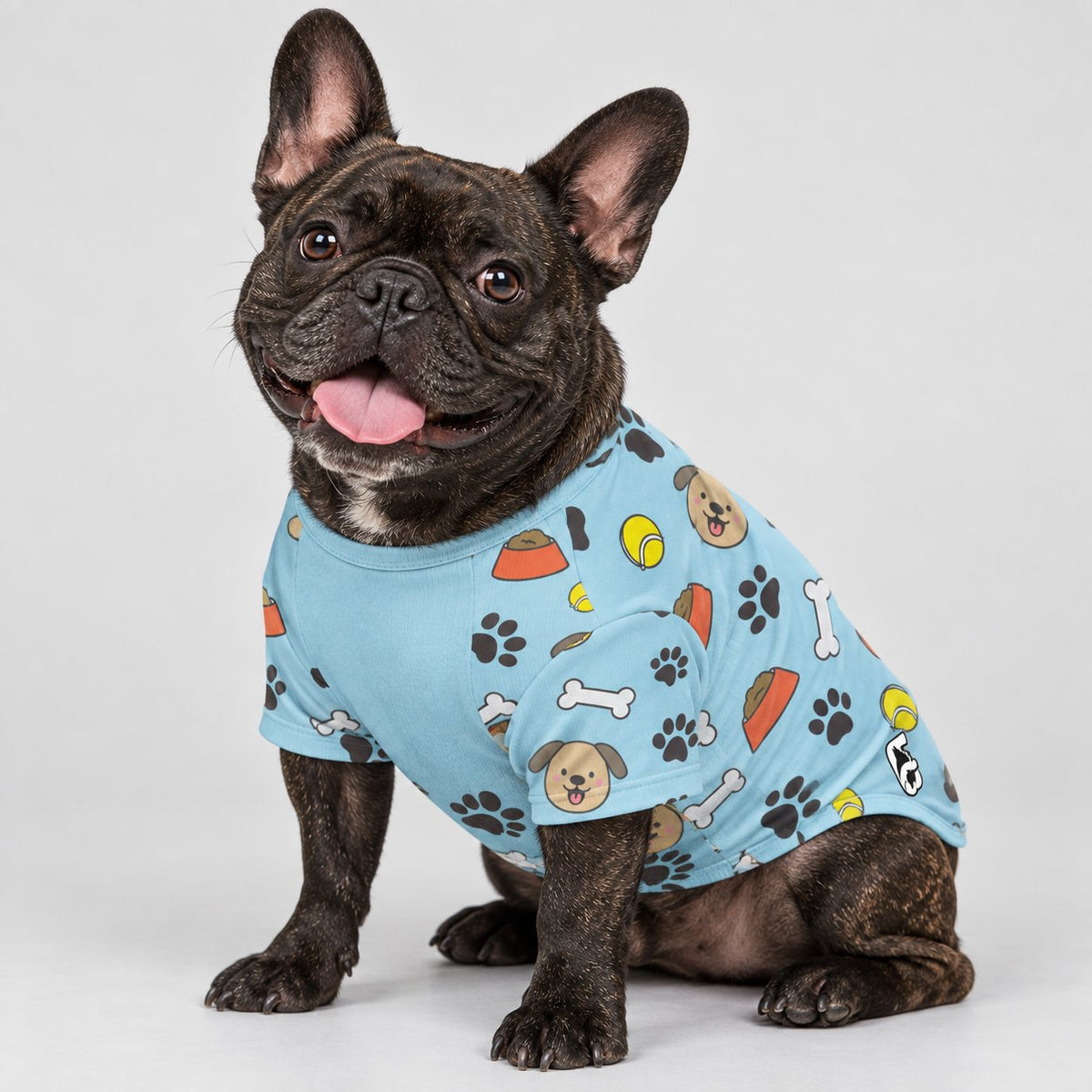 Frenchie wool sweater offered in five sizes, XS to XL