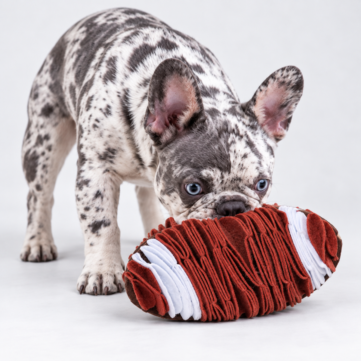 Foldable Football French Bulldog Snuffle Toy
