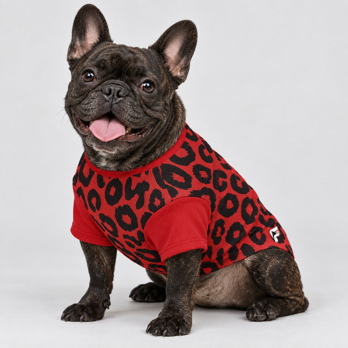French Bulldog wool sweater in a soft wool blend, available in sizes XS to XL.