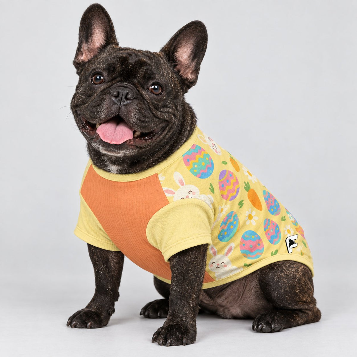 Frenchie wool sweater sized XS through XL for small and medium dogs.