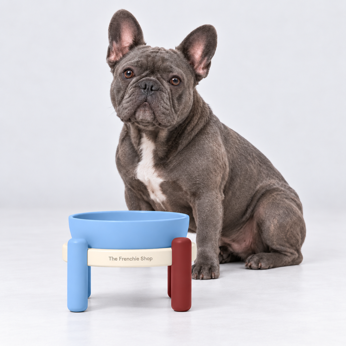 Blue & Cream Raised Ceramic French Bulldog Bowl Set — m no mat