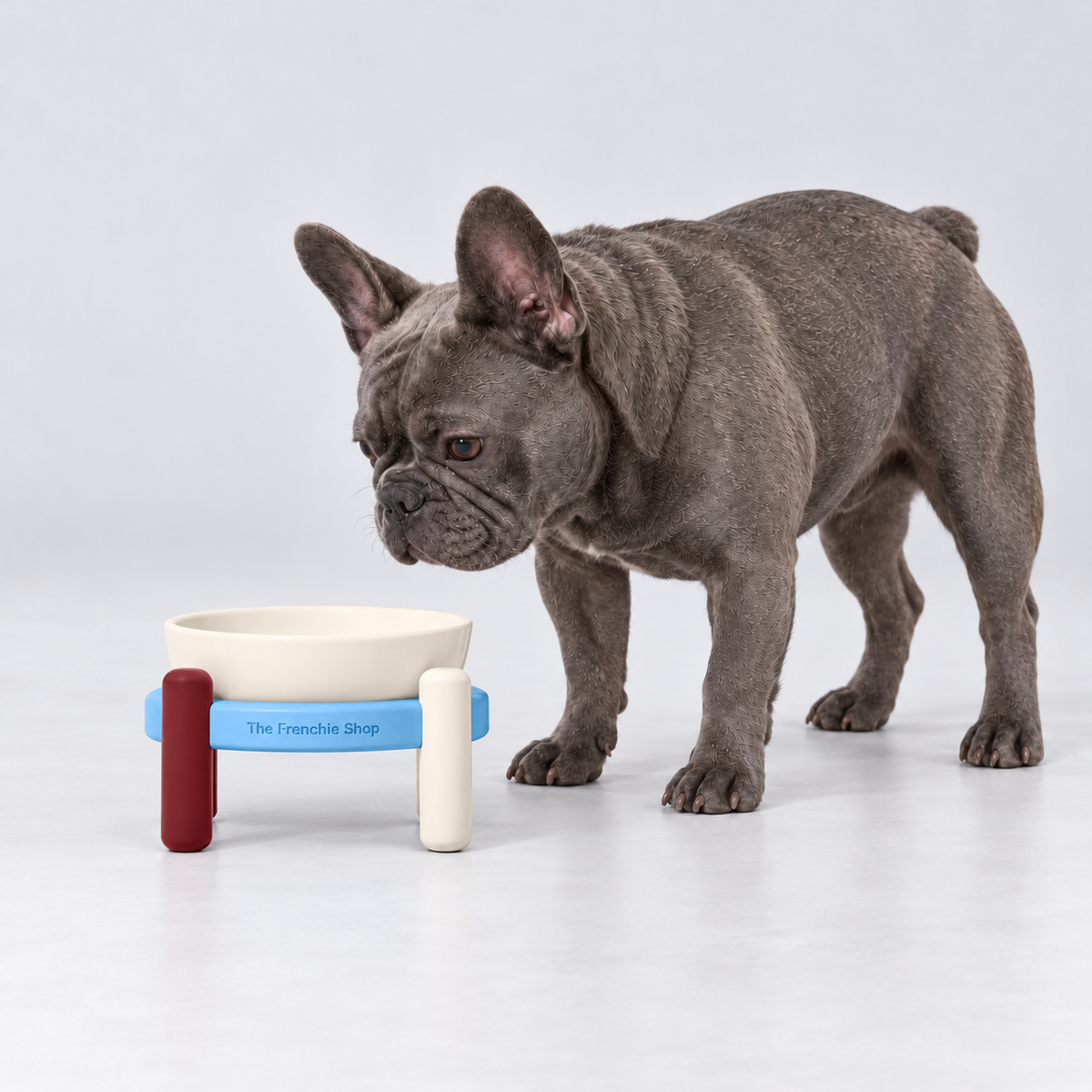 Blue & Cream Raised Ceramic French Bulldog Bowl Set — s no mat
