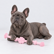 Colorful Rope French Bulldog Tug Toy — Cherry Blossom