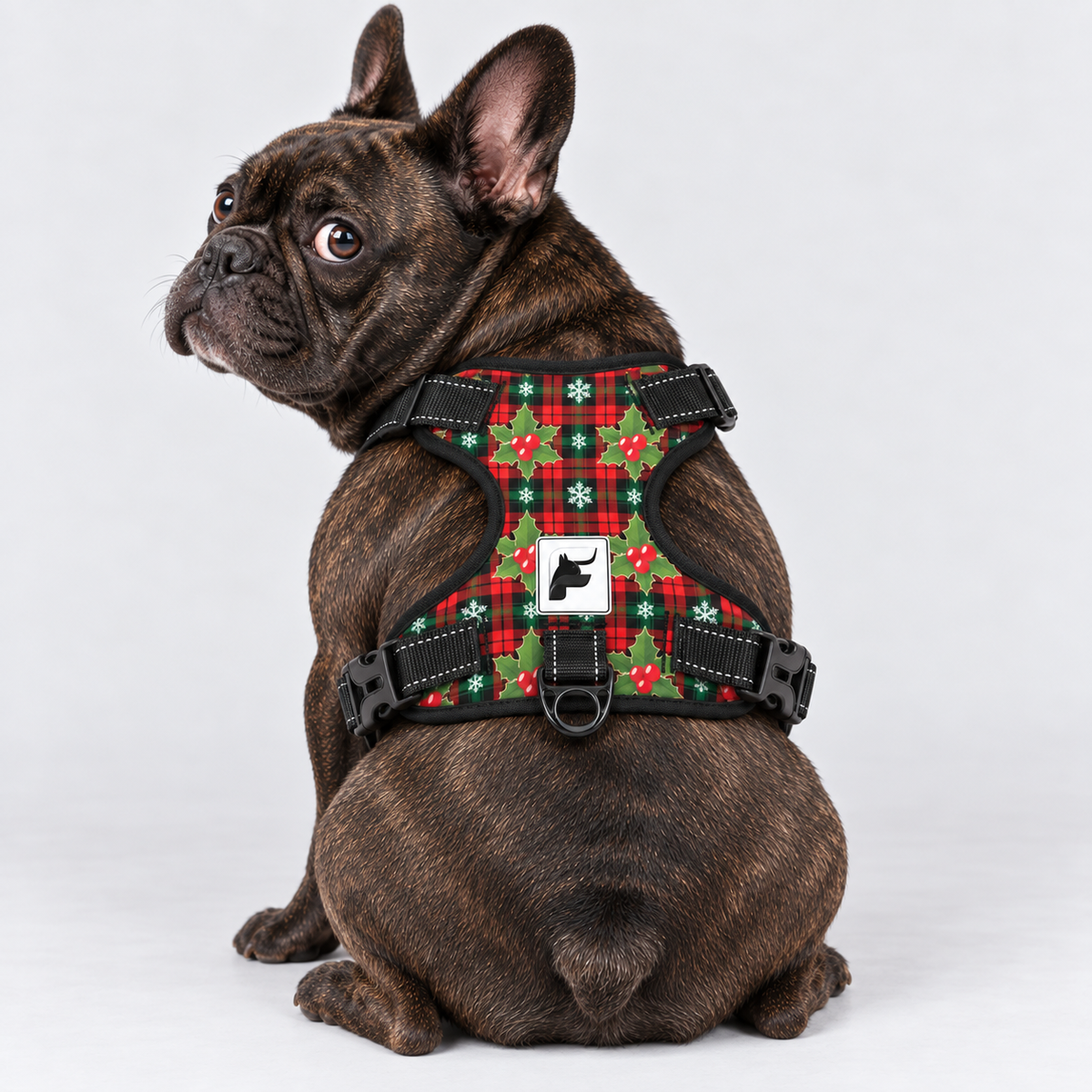 Christmas Tartan French Bulldog harness with padded mesh lining and adjustable neck and chest straps