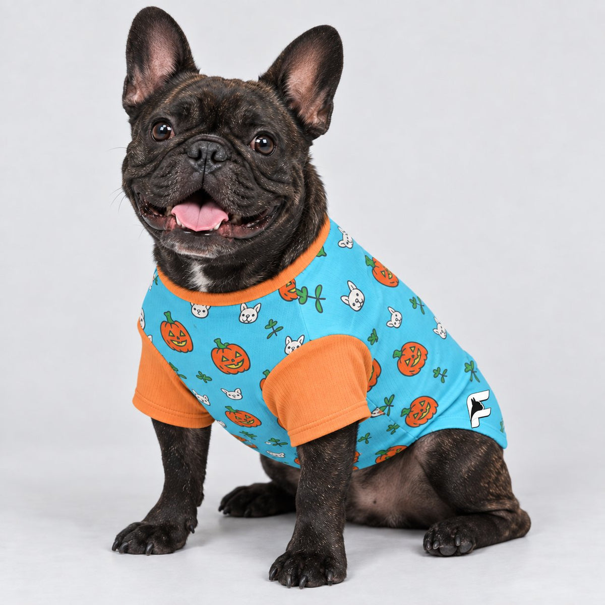 Frenchie wool sweater in a premium wool blend for cozy cold weather layering.