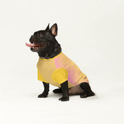 French Bulldog Wool Sweater | The Frenchie Shop Custom Print Cozy Knit