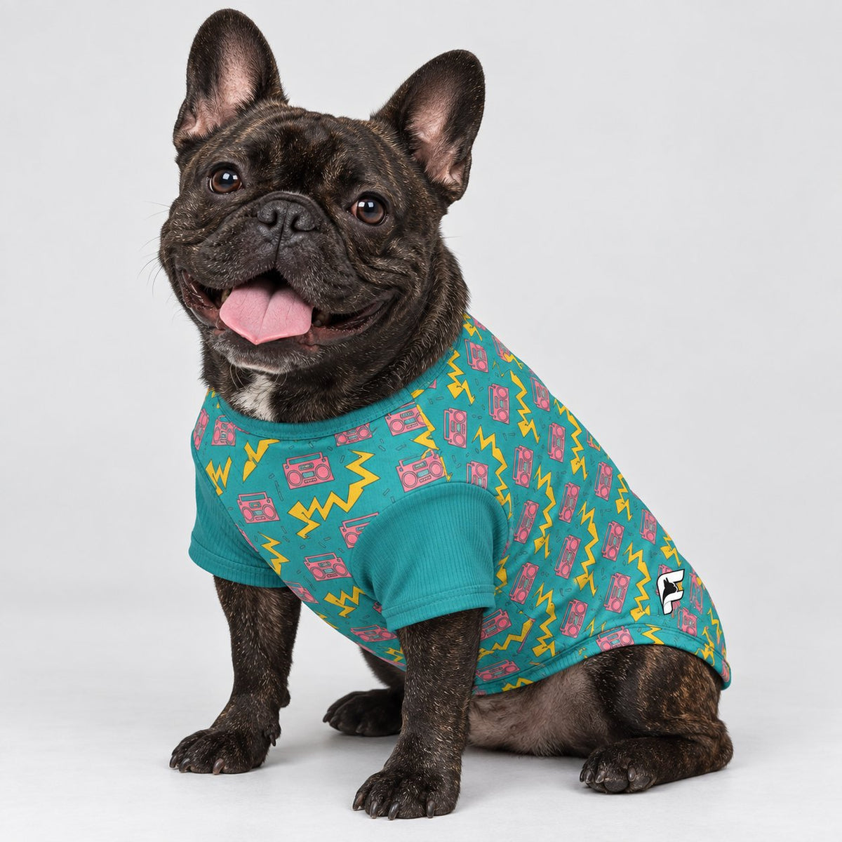 Frenchie wool sweater with a custom print, easy to slip on and off