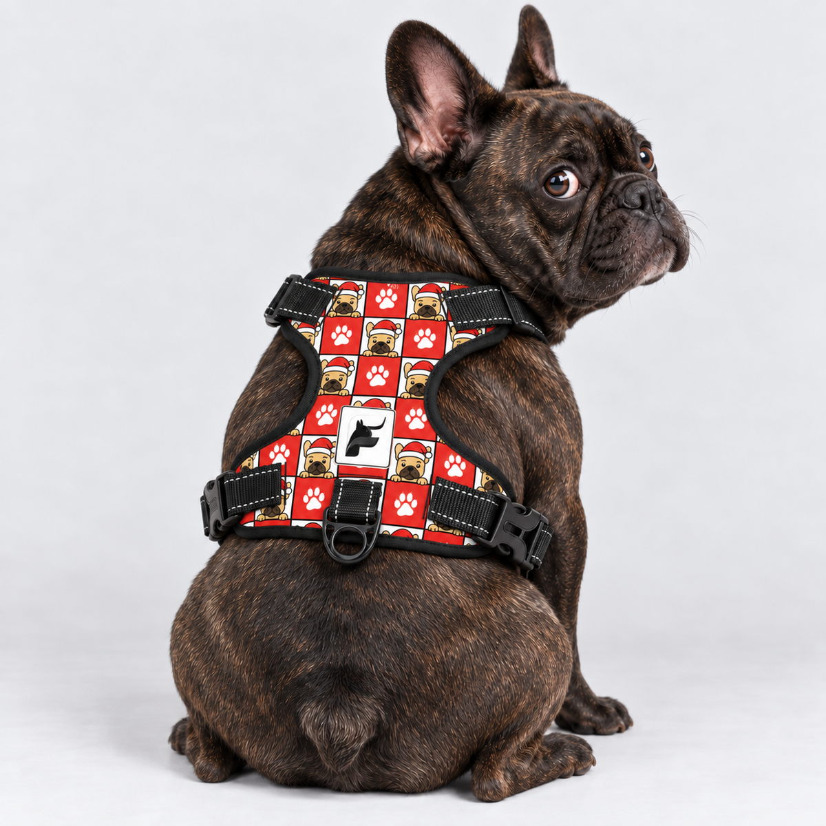 Santa Paws Checkerboard French Bulldog harness with adjustable neck and chest straps and black trim