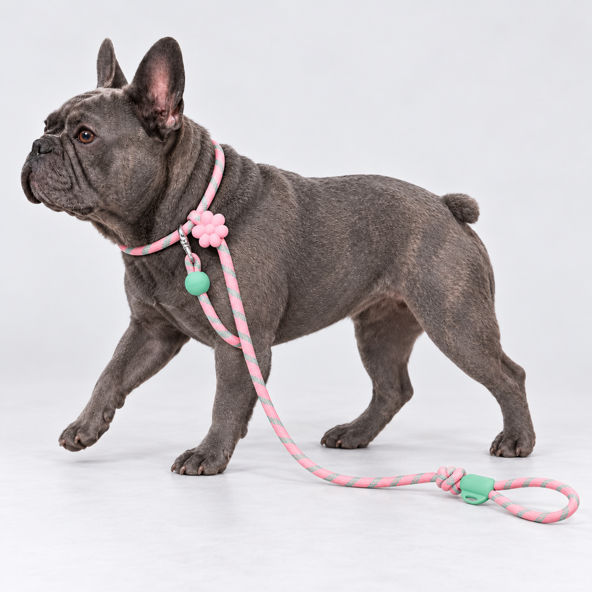 Flower French Bulldog Slip Leash — 5954185715922