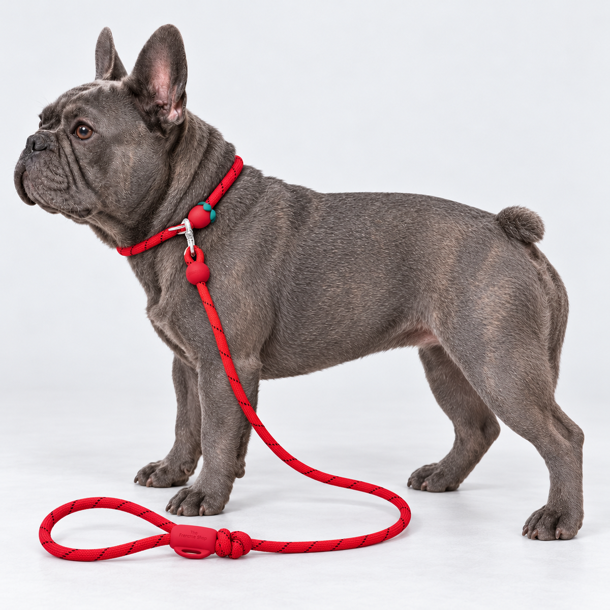 Strawberry Adjustable French Bulldog Slip Leash — 5966862215662