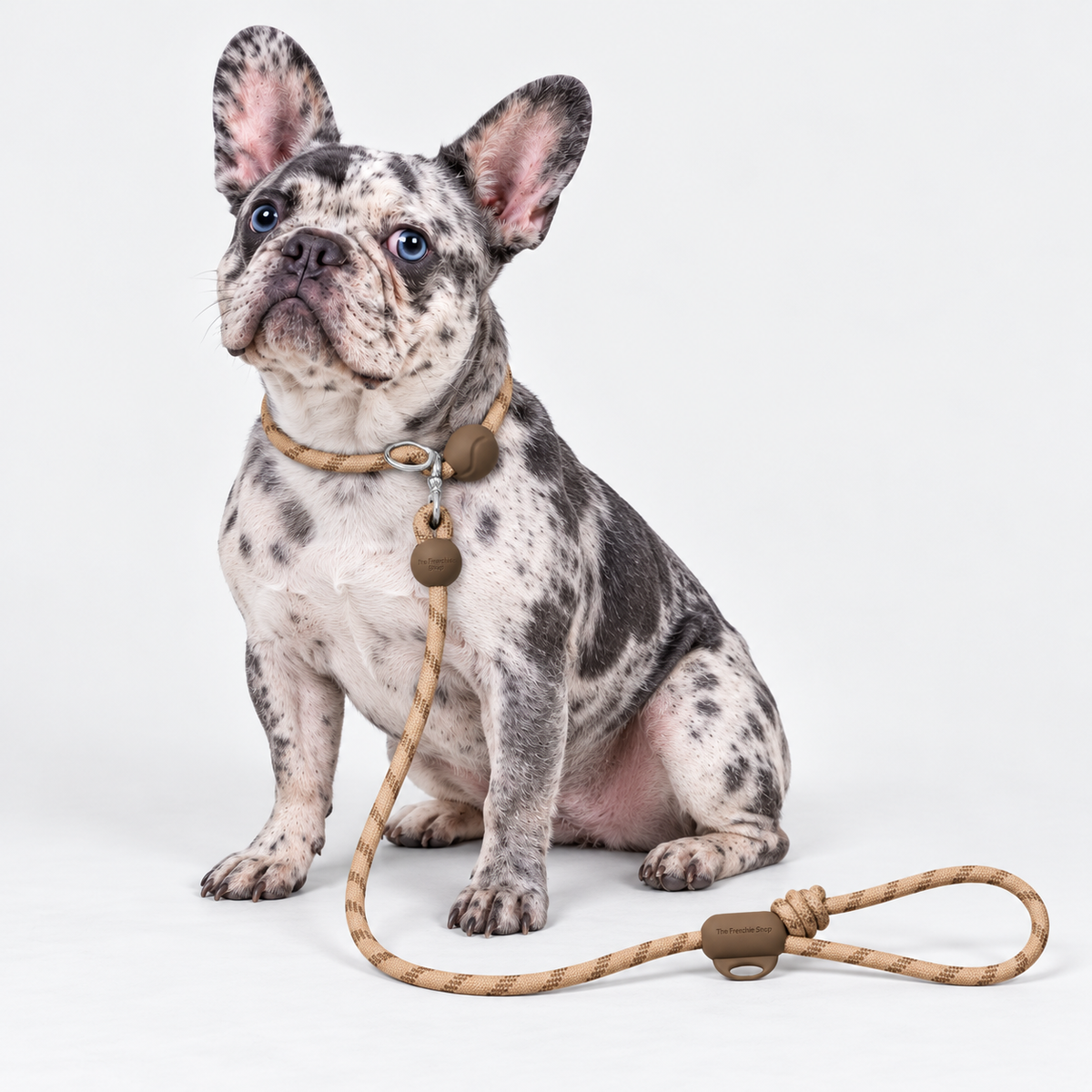Coffee French Bulldog Slip Leash — 6276847923757