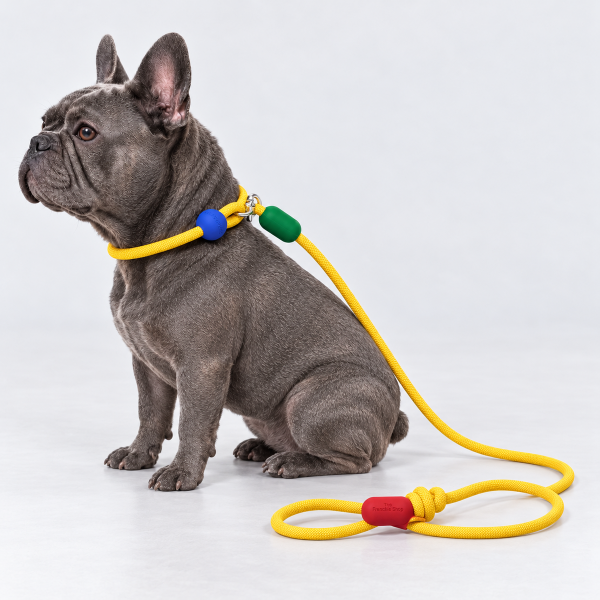 Colorblock French Bulldog Slip Leash — main