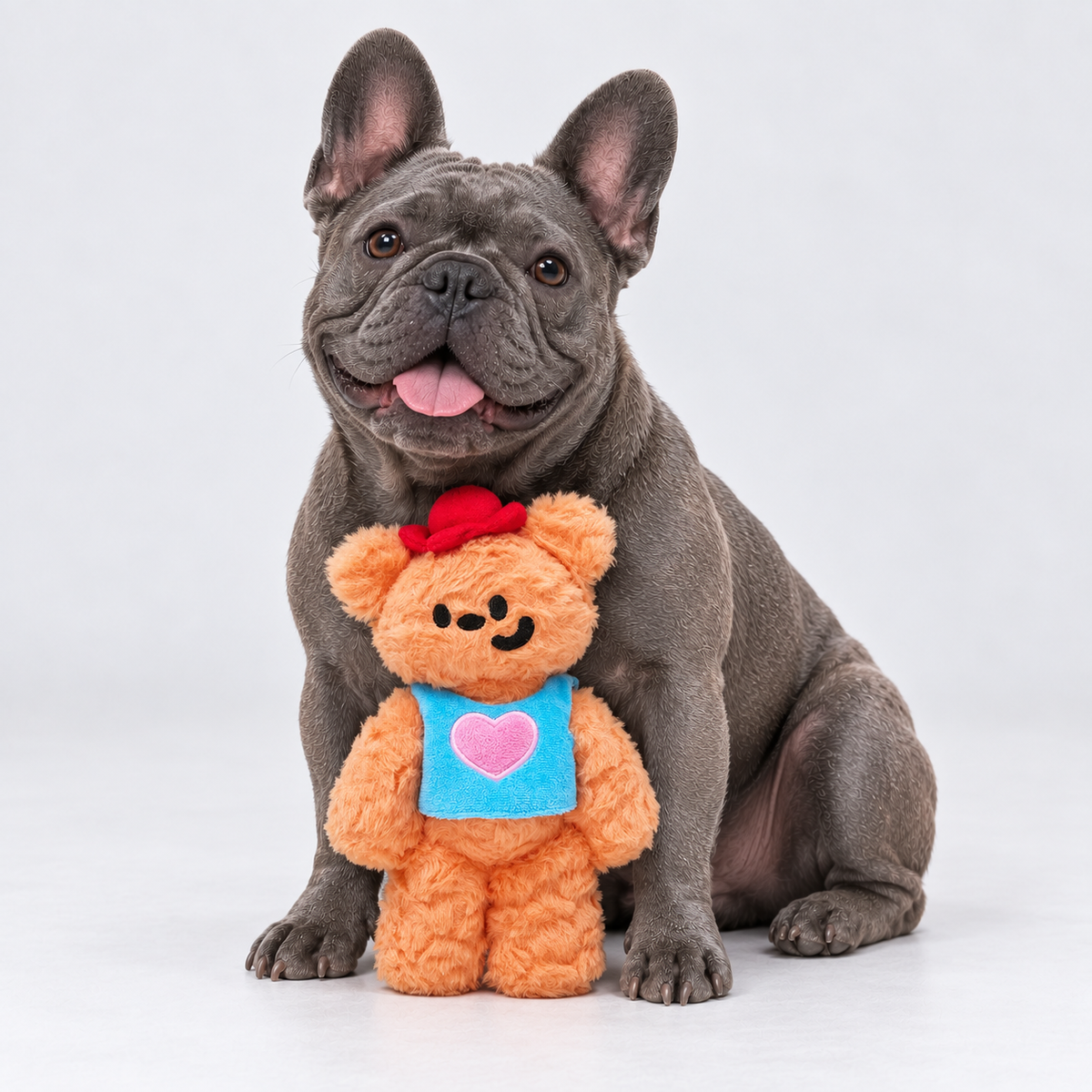 Bear Squeaky Plush French Bulldog Toy — Default Title