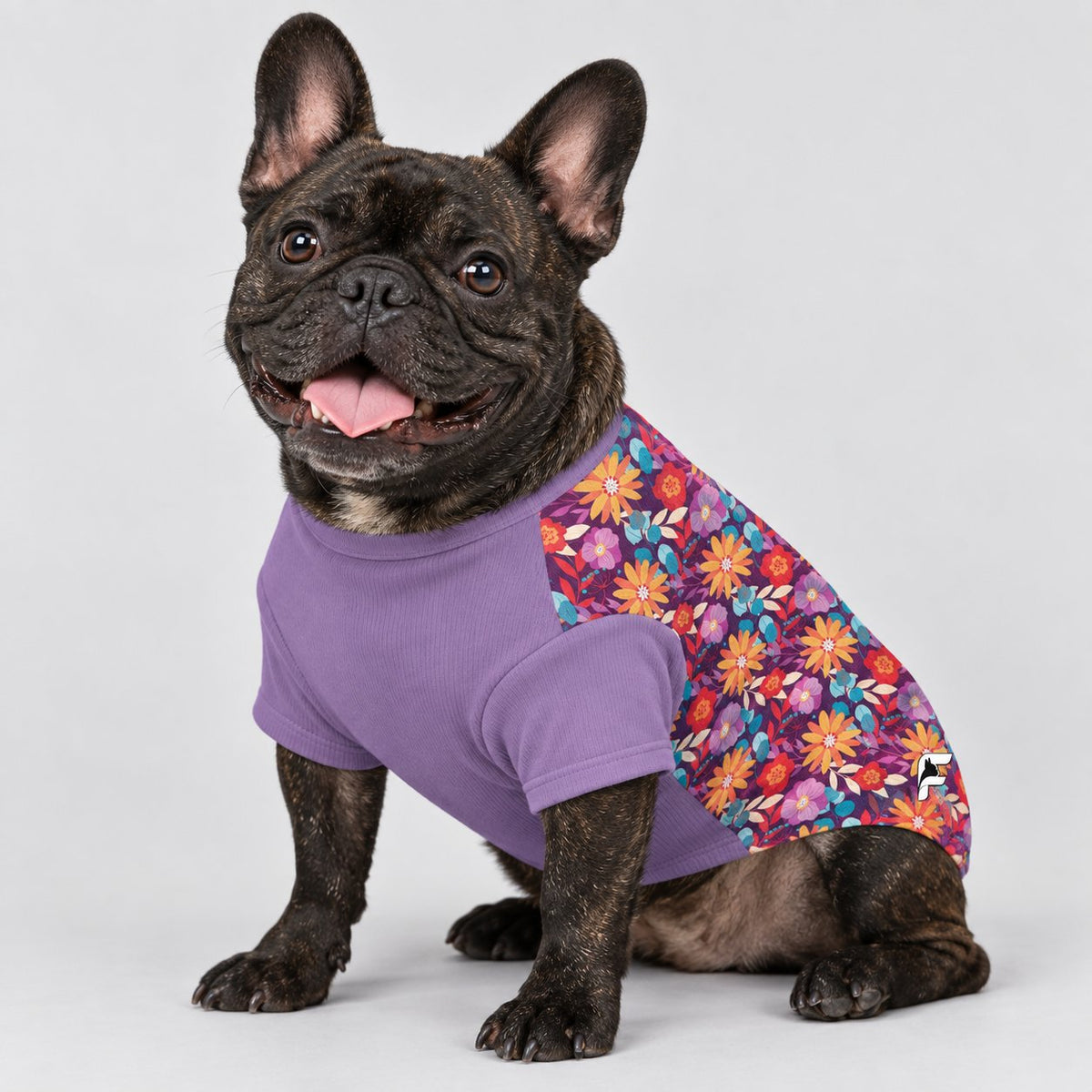 French Bulldog wool sweater, hand wash or machine wash cold and tumble dry low