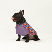 French Bulldog Wool Sweater | The Frenchie Shop Custom Print Cozy Knit