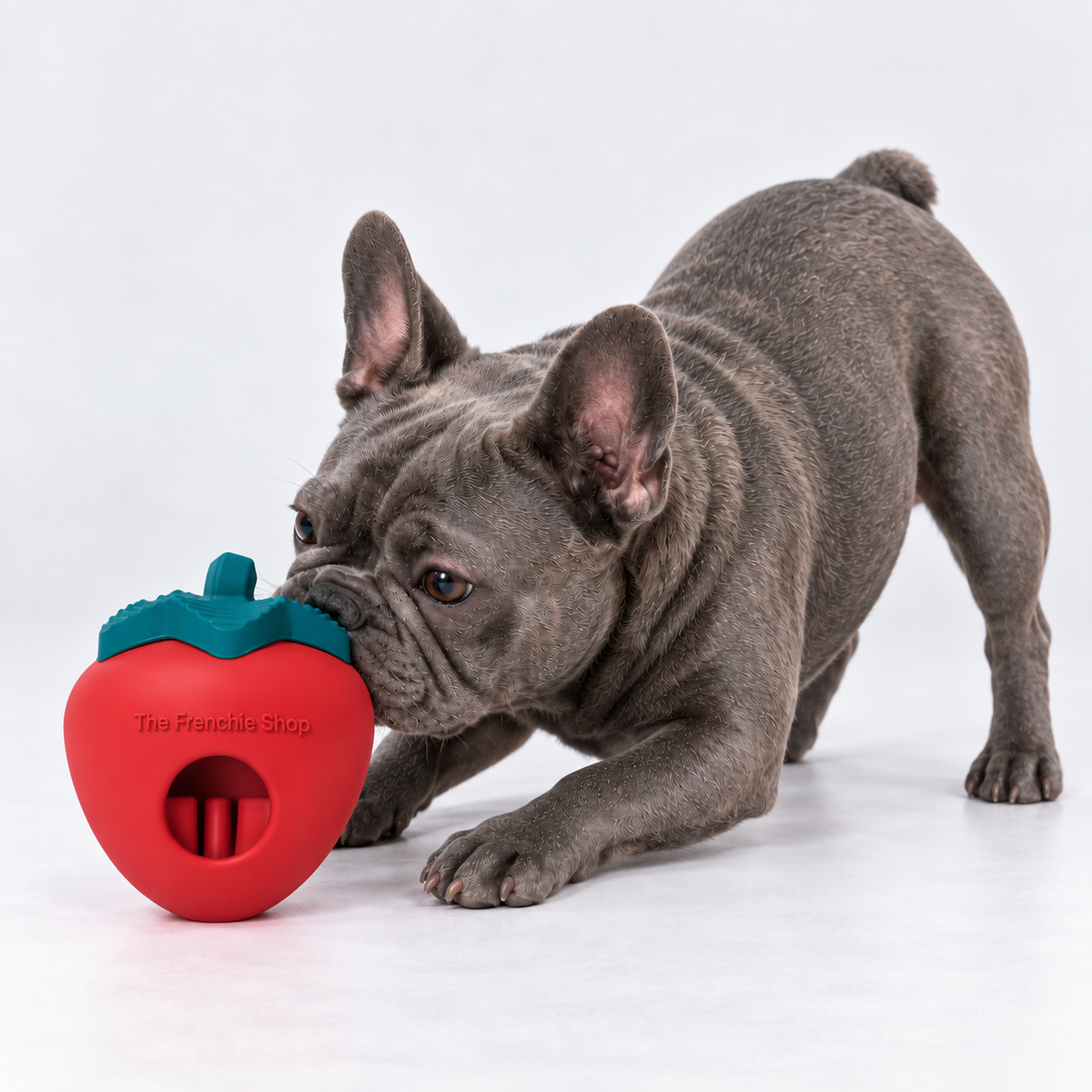 Strawberry French Bulldog Treat Dispensing Enrichment Toy — 6088811478781 v2