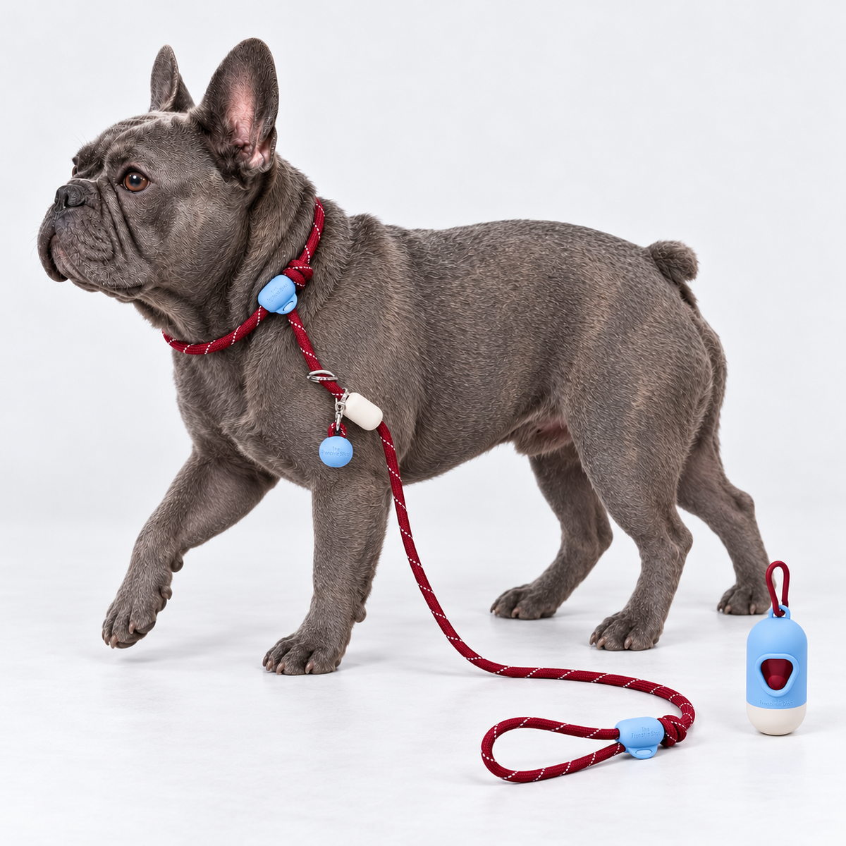Merlot French Bulldog Slip Leash — 6274278290122