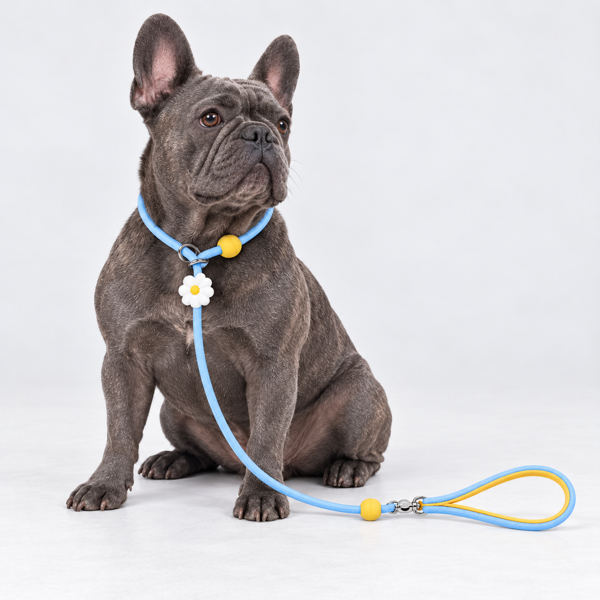 Lightweight French Bulldog Slip Leash — 5945603929349