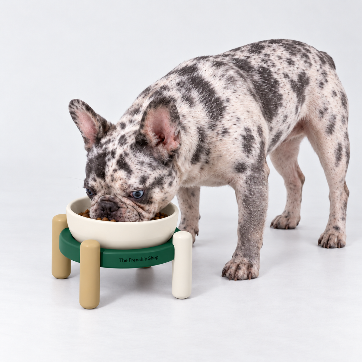 Forest Raised Ceramic French Bulldog Bowl Set — m no mat