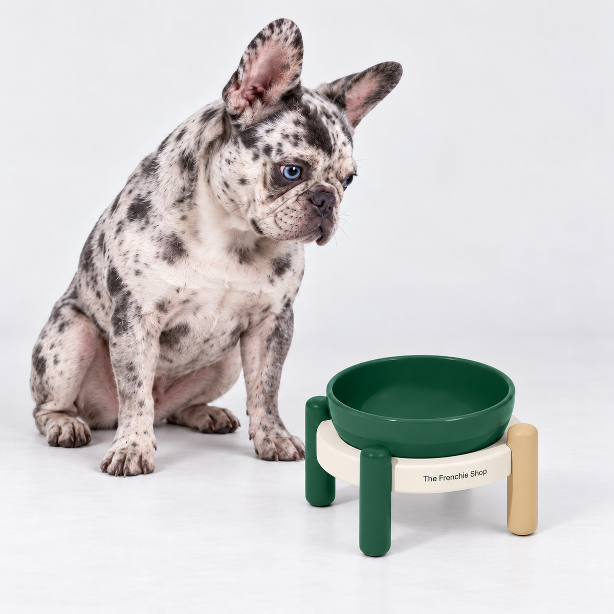 Forest Raised Ceramic French Bulldog Bowl Set — s no mat