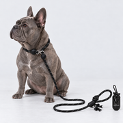 Bow French Bulldog Slip Leash — 6110183825518 v2