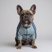 French Bulldog track jacket in brushed fleece with contrast side stripes