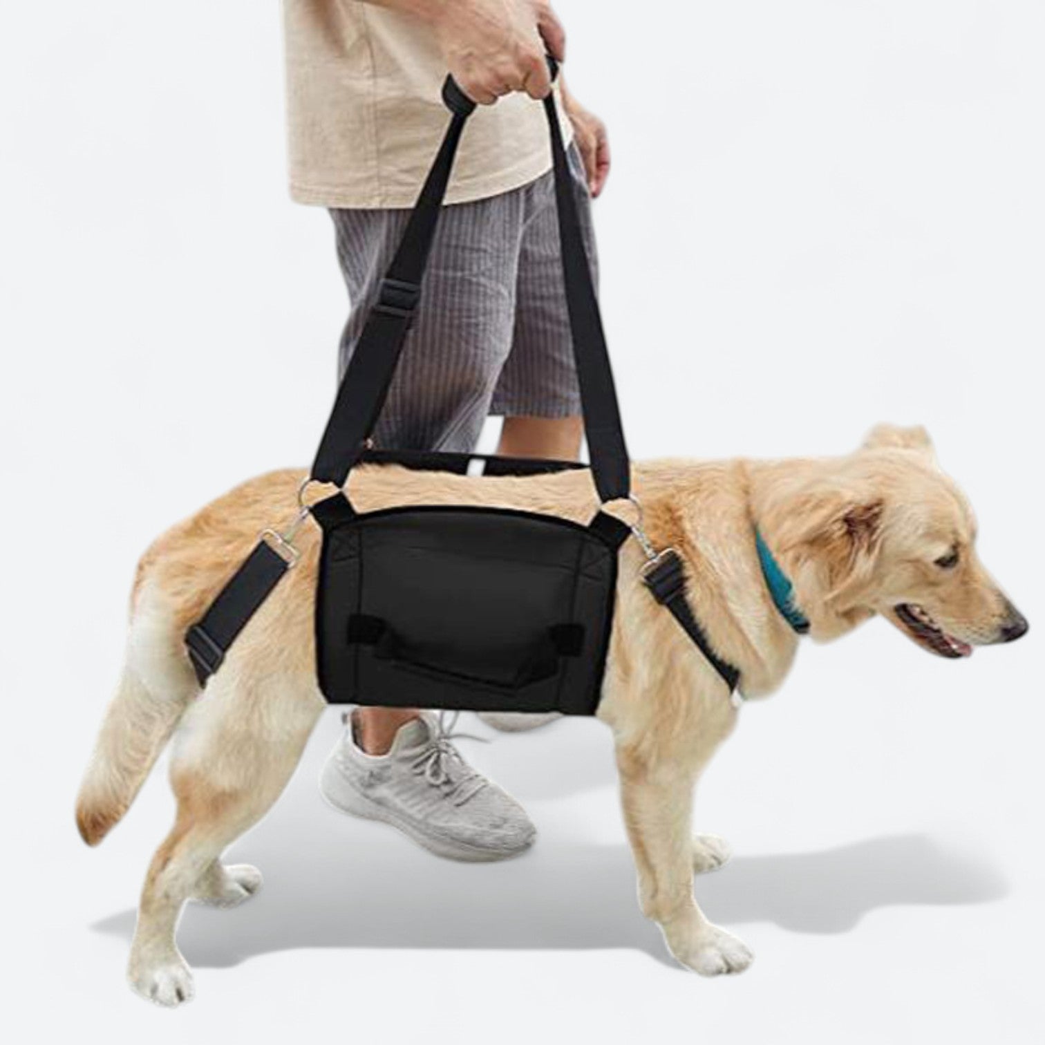 Adjustable-Dog-Lift-Support-Harness.jpg