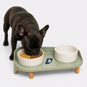 Elevated Frenchie bowl set with three height settings