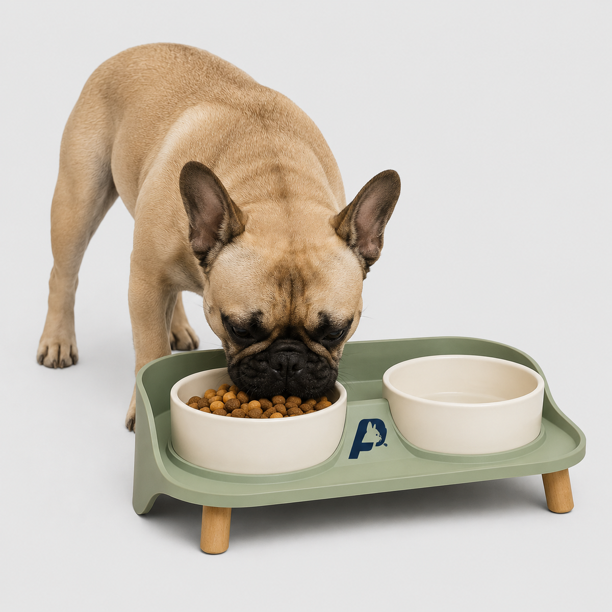 Elevated Frenchie bowl set with two removable dishes for food and water