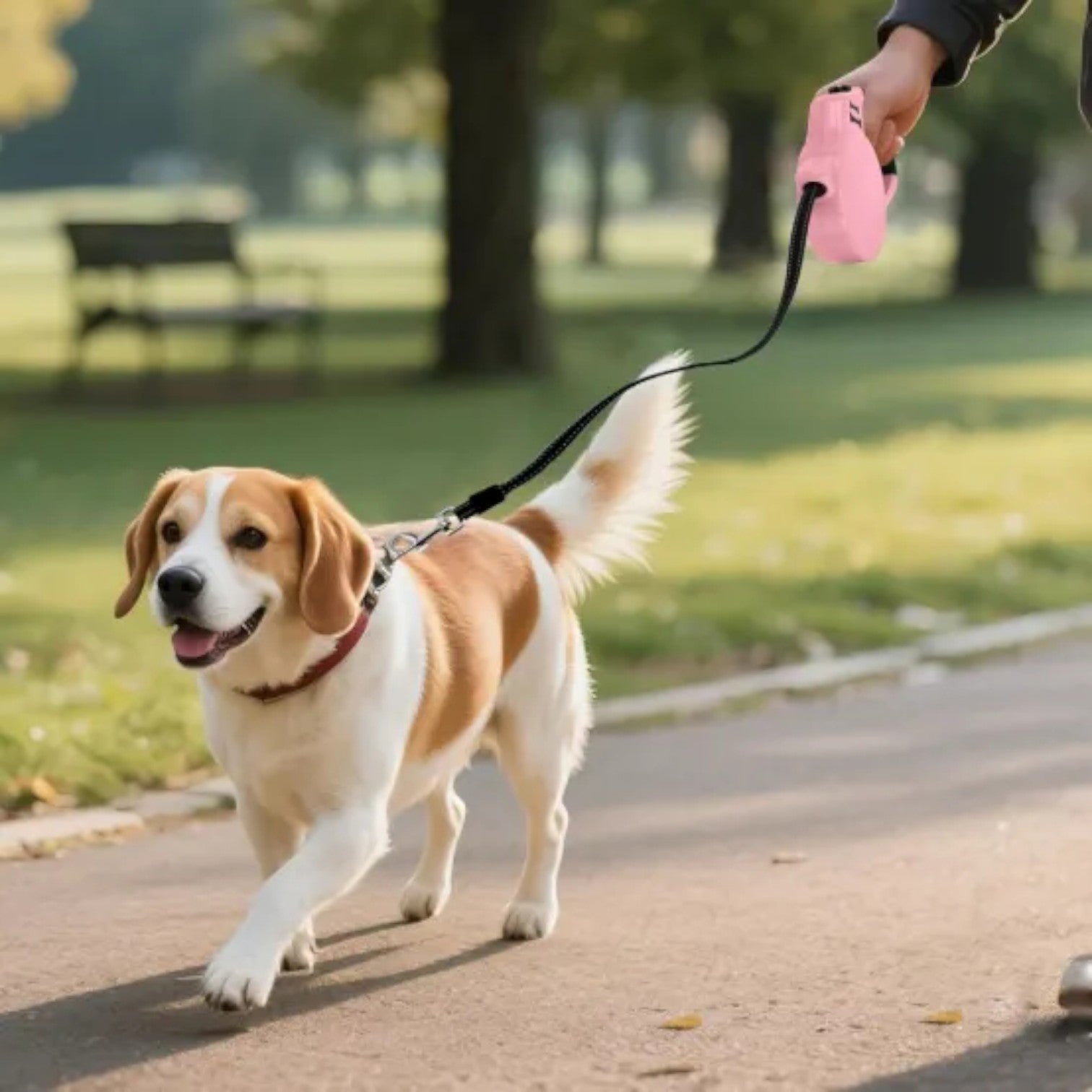 Automatic-Extendable-Dog-Leash.jpg
