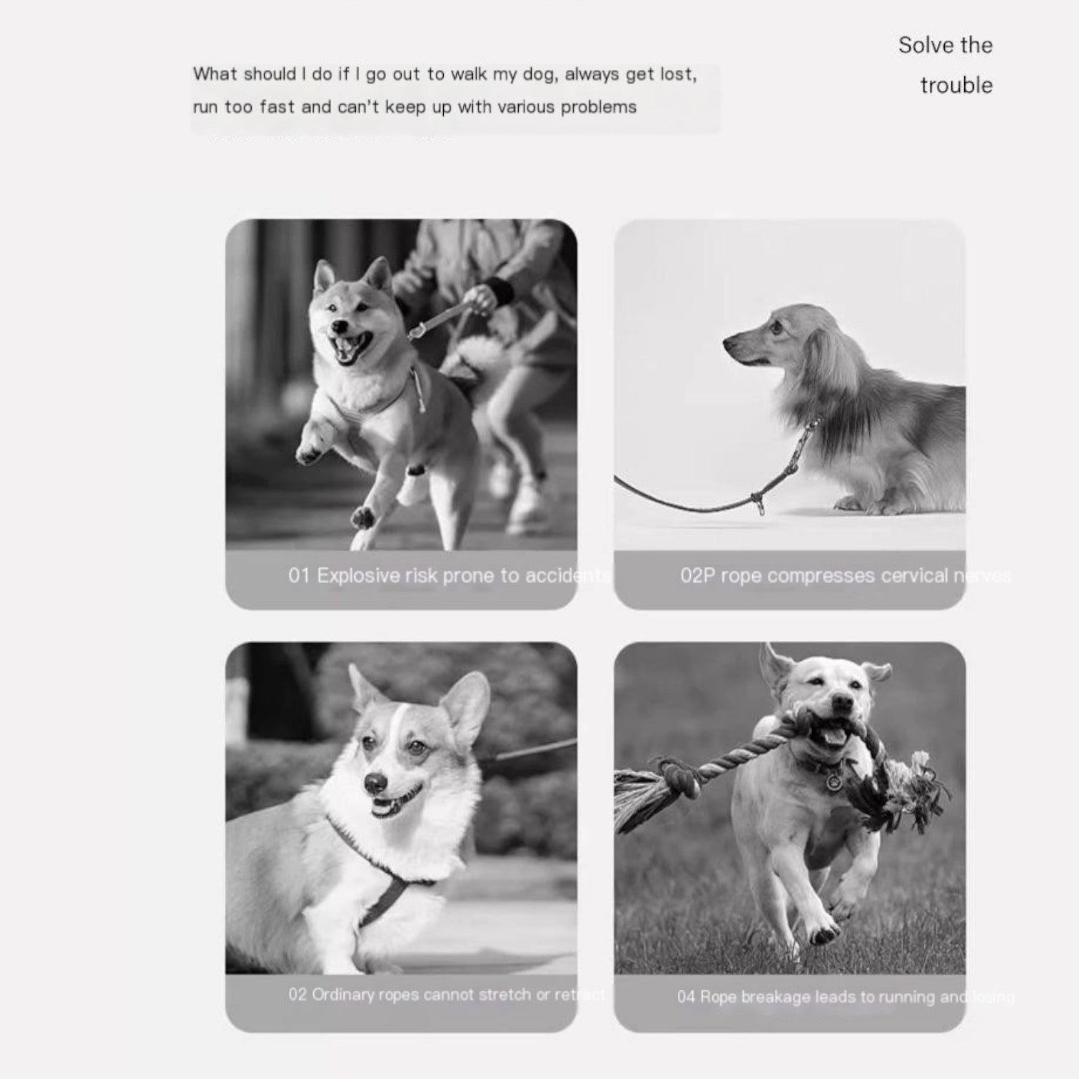 Automatic-Extendable-Dog-Leash.jpg