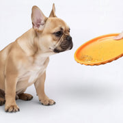 Bite-Resistant-Training-Dog-Flying-Disc.jpg