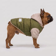 French Bulldog hooded winter vest with soft fleece lining