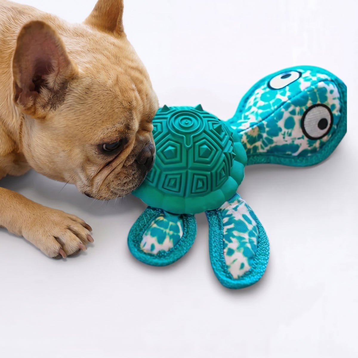Rubber Tibetan Turtle Dog Toy