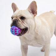 Bouncy Dog Chew Ball Toy
