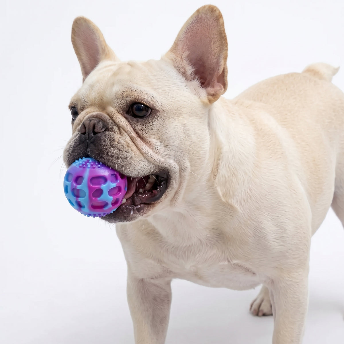 Bouncy Dog Chew Ball Toy