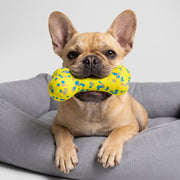 Dental Cleaning Dog Bone Toy