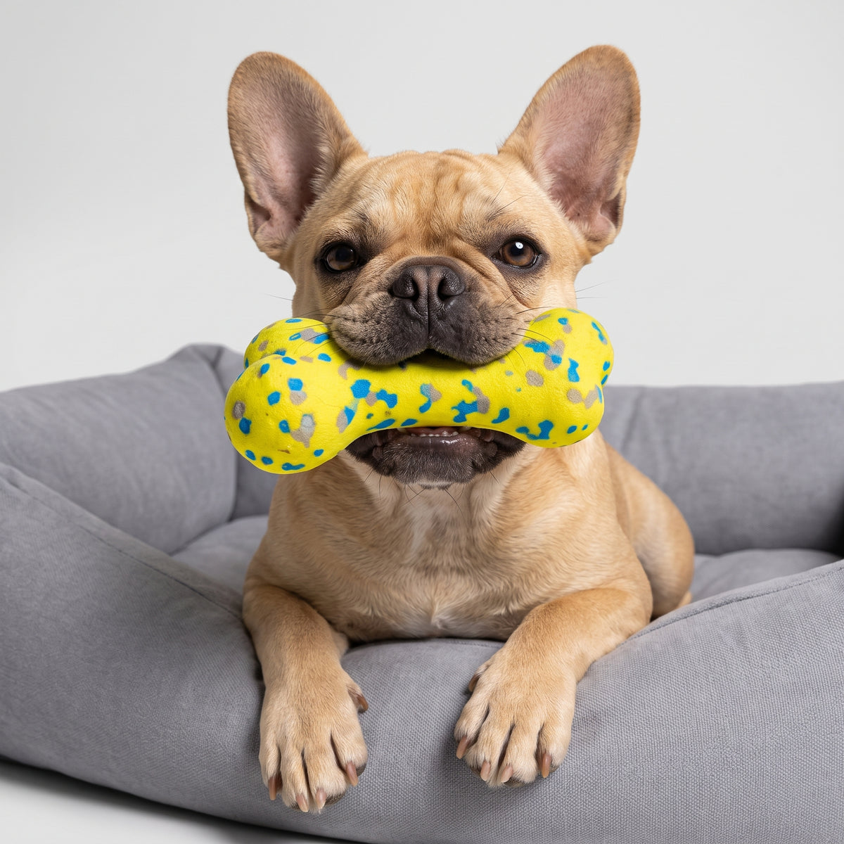 Dental Cleaning Dog Bone Toy