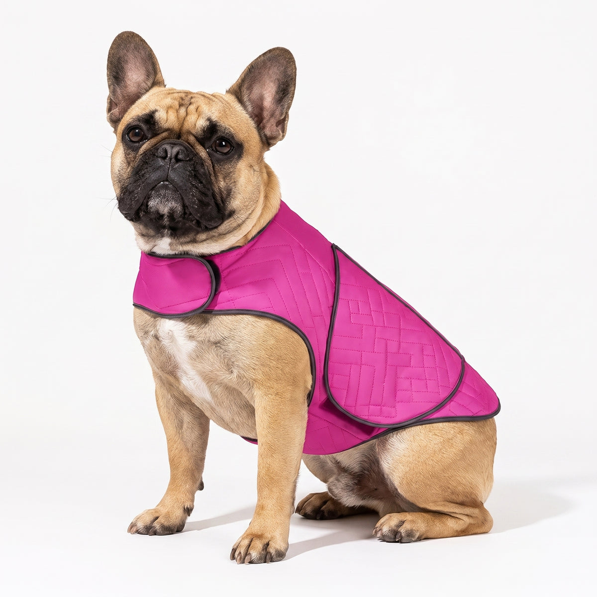 French Bulldog Anxiety Jacket | Frenchie Calming Support Wear
