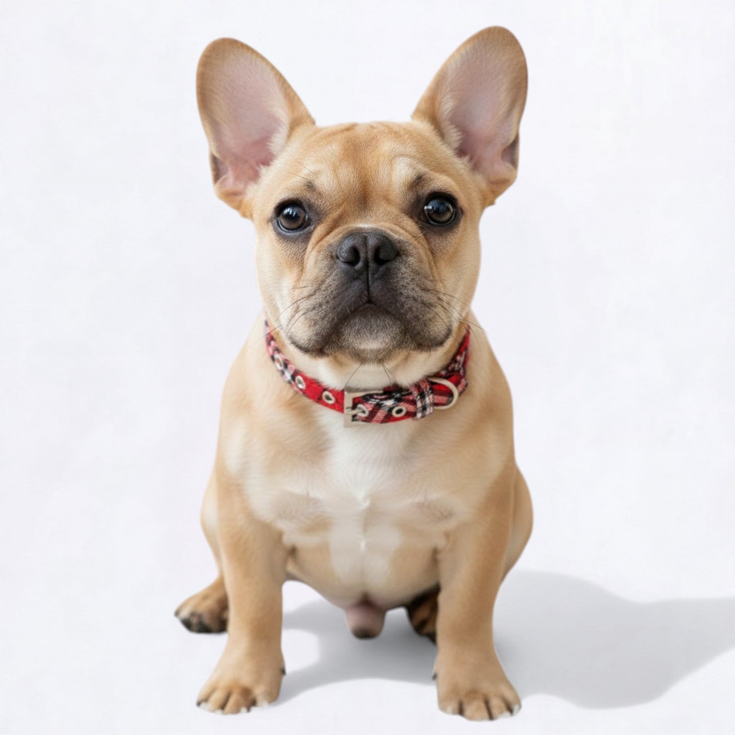 Classic-Plaid-Adjustable-Dog-Collar.jpg