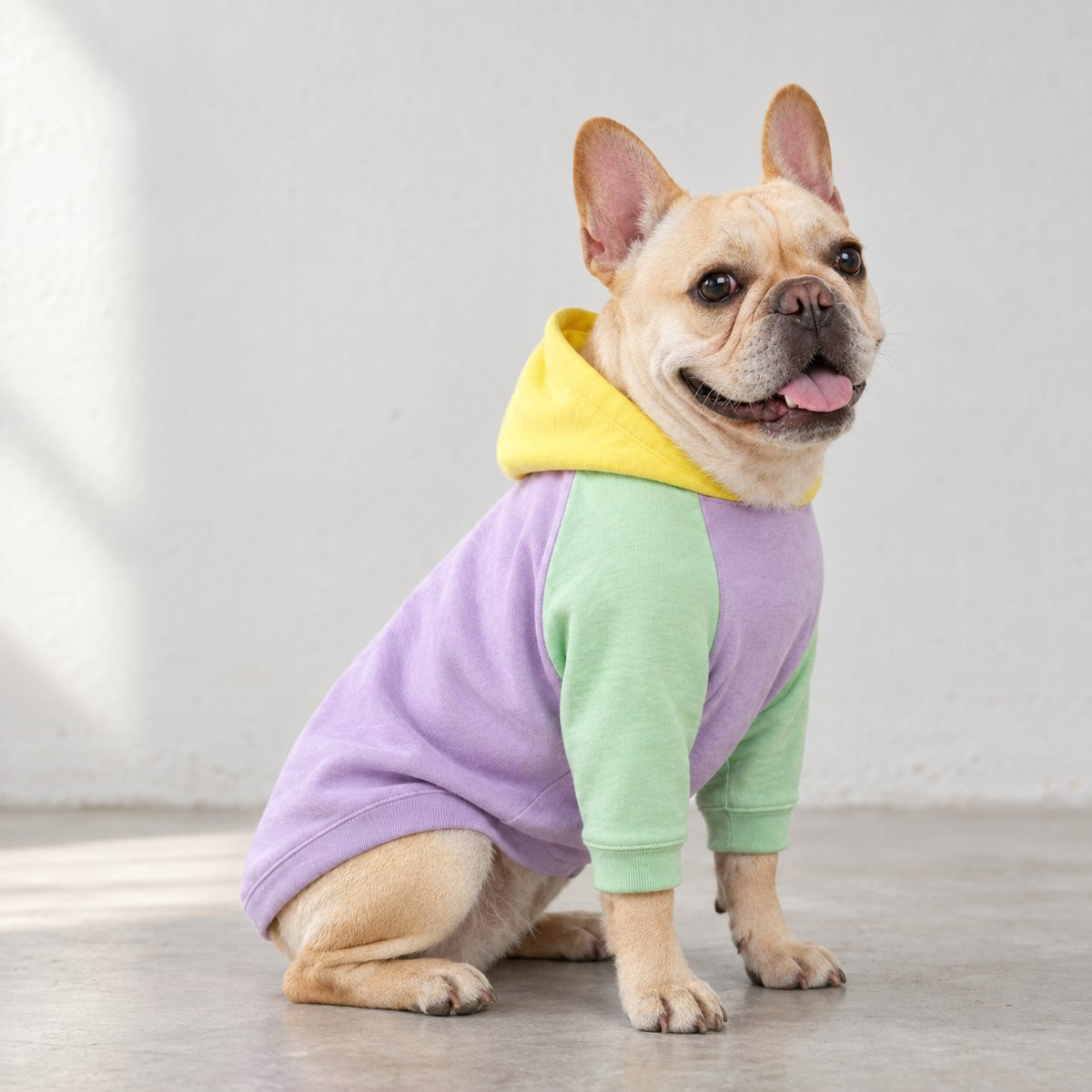 Matching pastel colorblock owner hoodie made to pair with the dog version