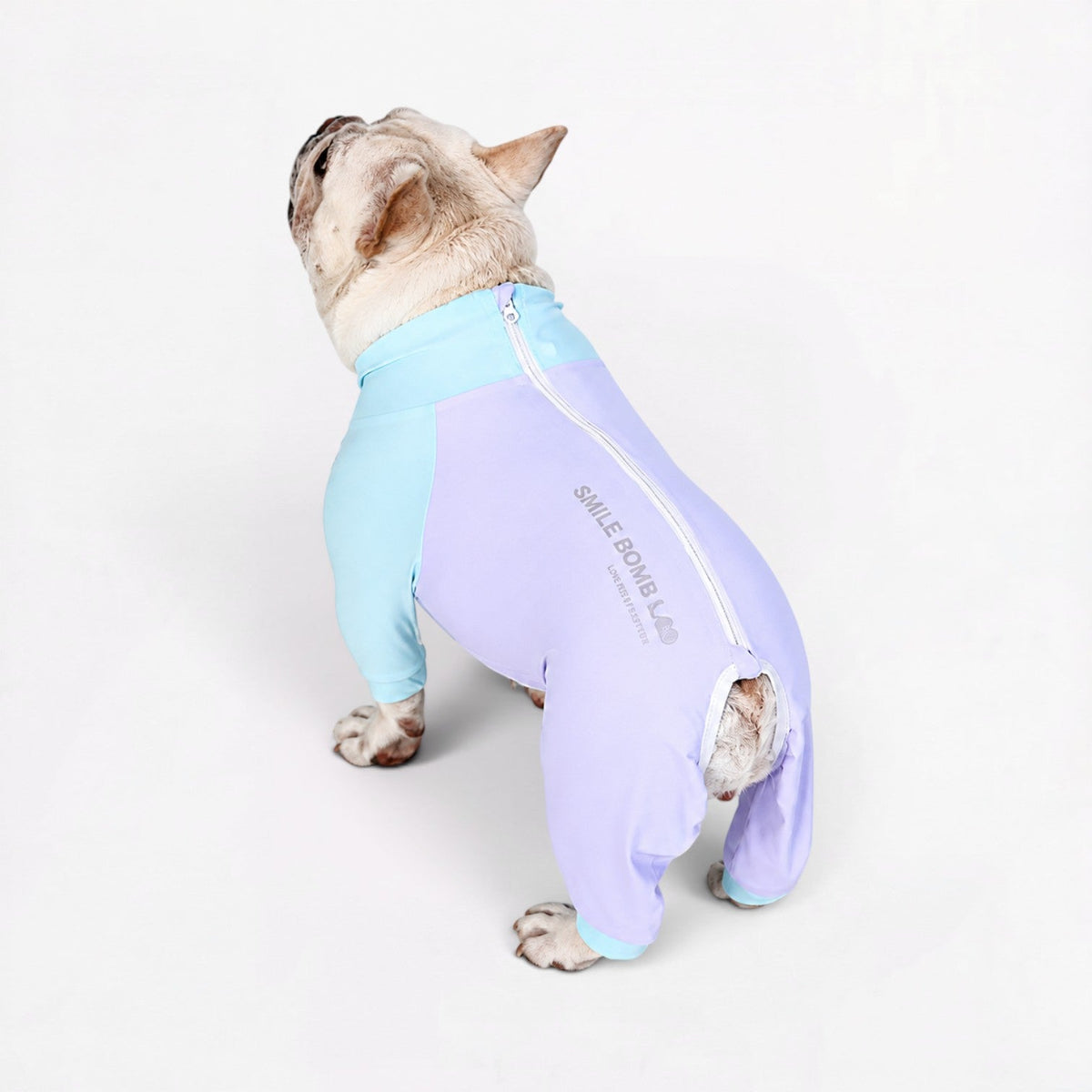 Lightweight full-body Frenchie pajamas covering torso and legs against bites and sun