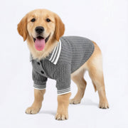 Cozy-Knit-Dog-Polo-Sweater.jpg