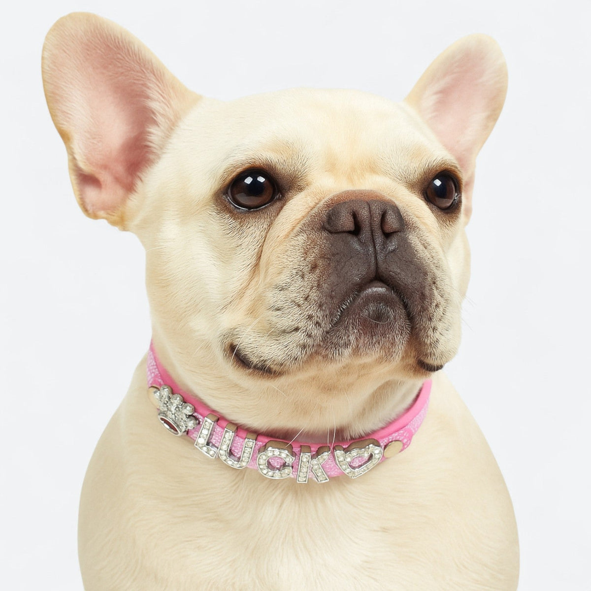 Custom-Glitter-Dog-Collar-Leash-Set.jpg