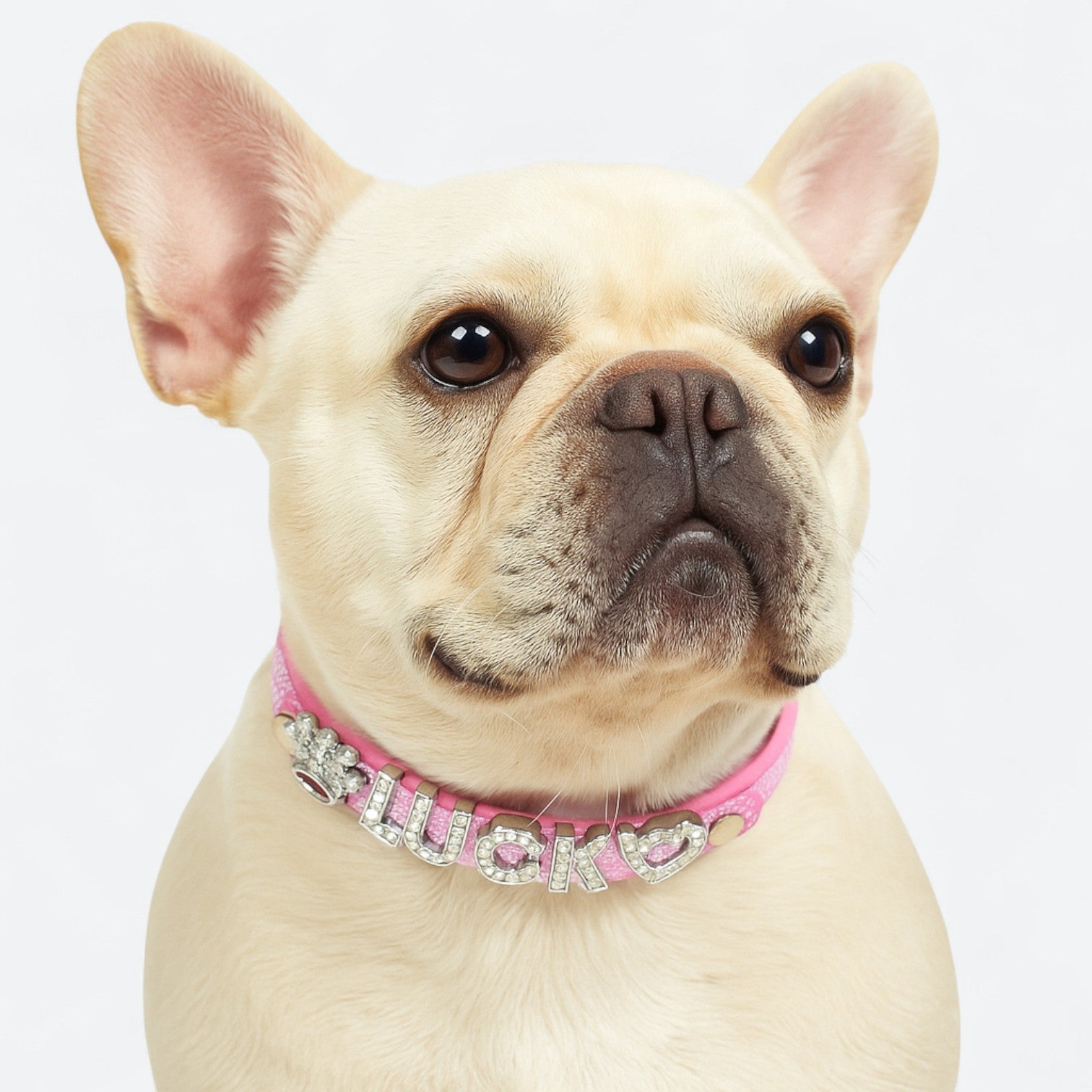 Custom-Glitter-Dog-Collar-Leash-Set.jpg