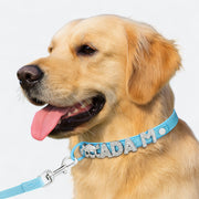 Custom-Glitter-Dog-Collar-Leash-Set.jpg