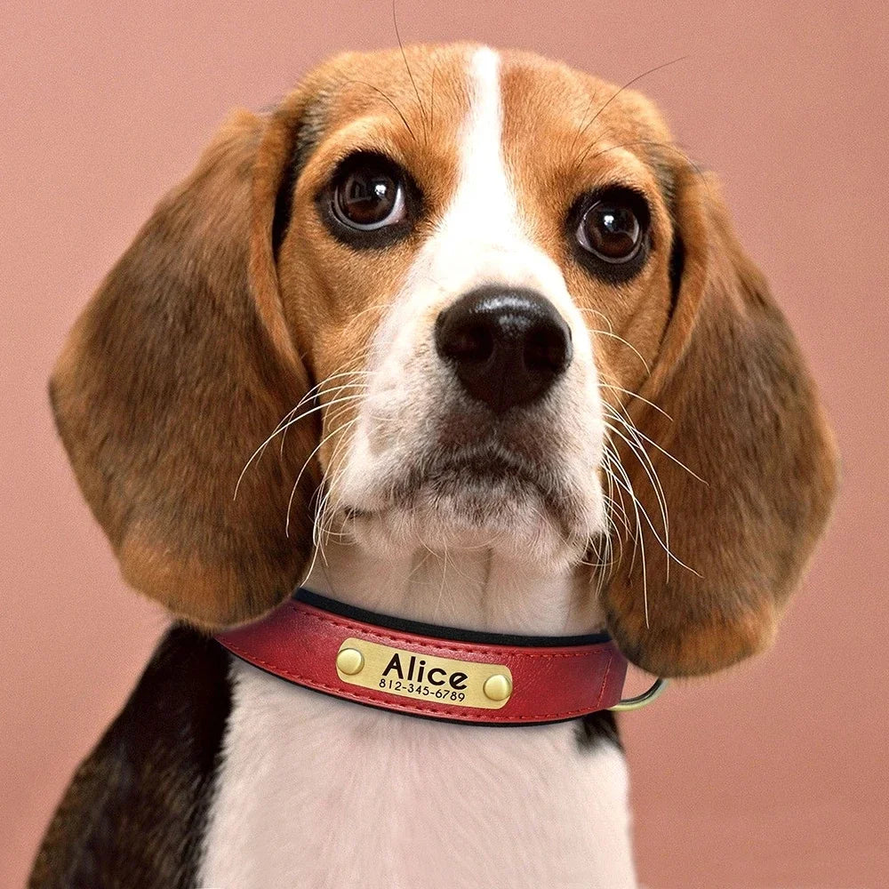 Custom-Soft-Leather-Dog-Collar.jpg